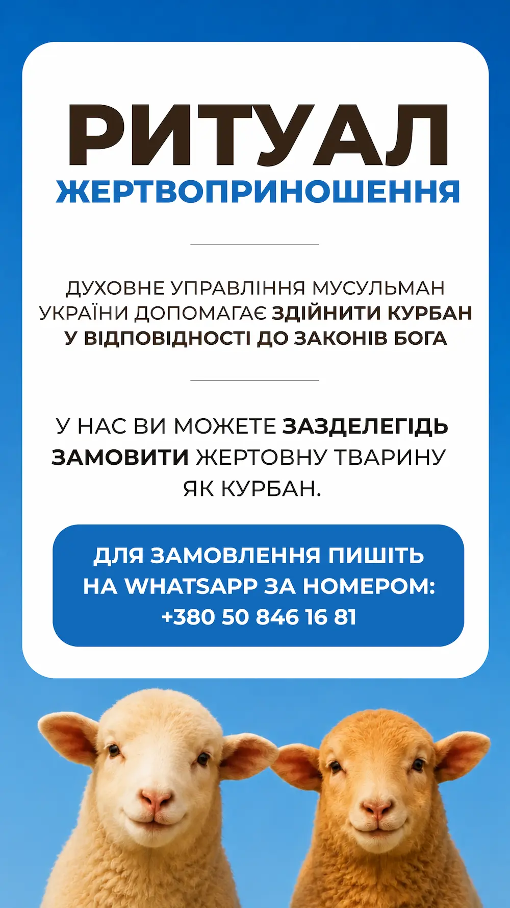 Хотите совершить курбан (ритуал жертвоприношения)?