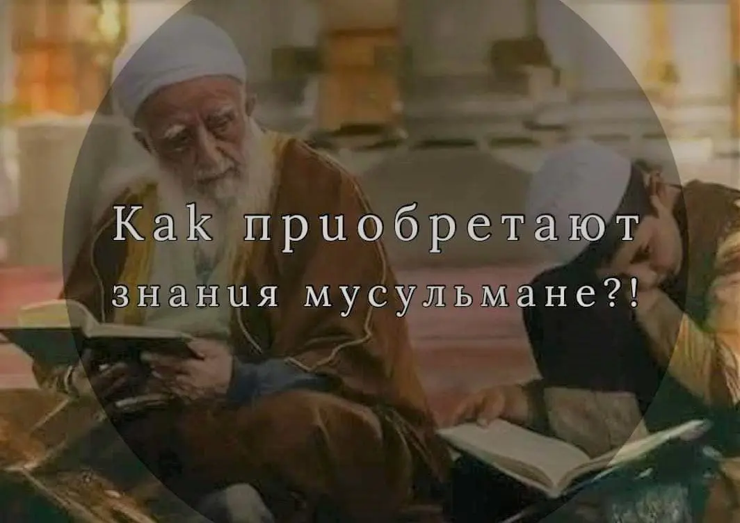 Как приобретают знания мусульмане?